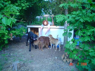 Trigger, Ginger, & Houdini - NC